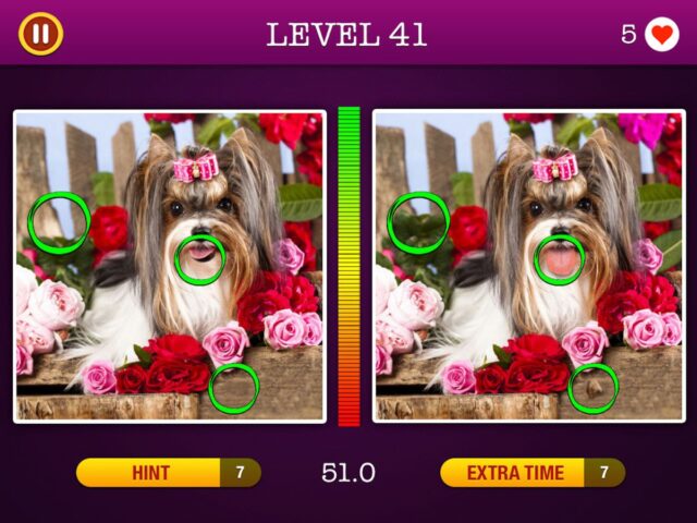 5 Differences ~ Spot the Hidden Objects! สำหรับ iOS
