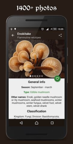 Book of Mushrooms per Android