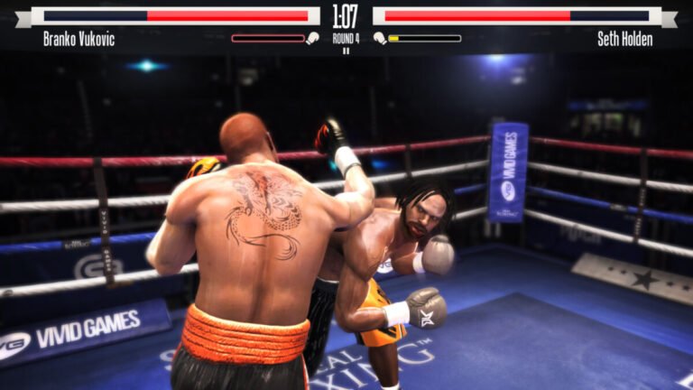Real Boxing pour Windows