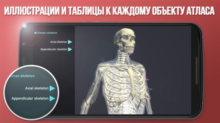 Windows 版 Human Body