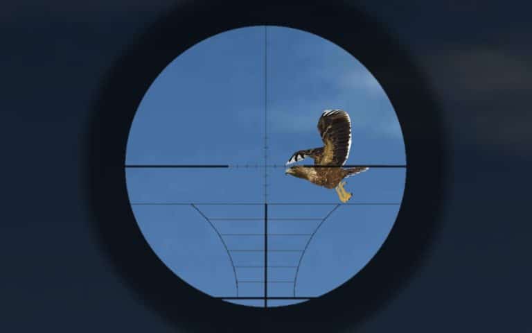 Sniper Hunter 3D для Android — скриншот 3