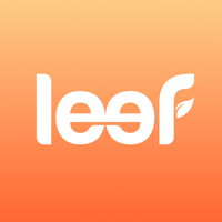 iBridge 3 для iOS