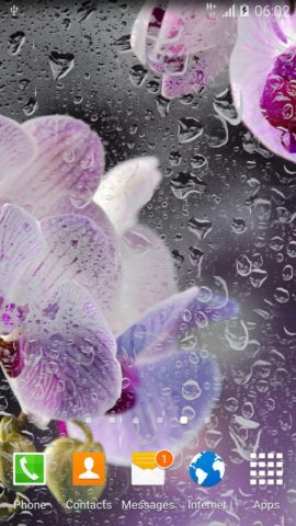 Orchids Live Wallpaper pour Android