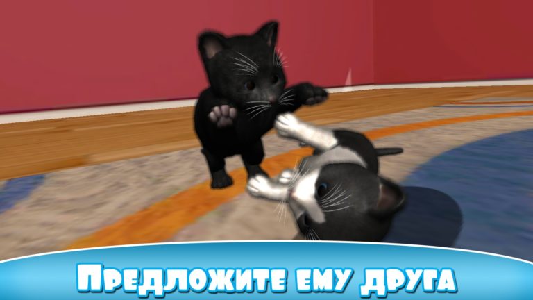 Daily Kitten สำหรับ Android