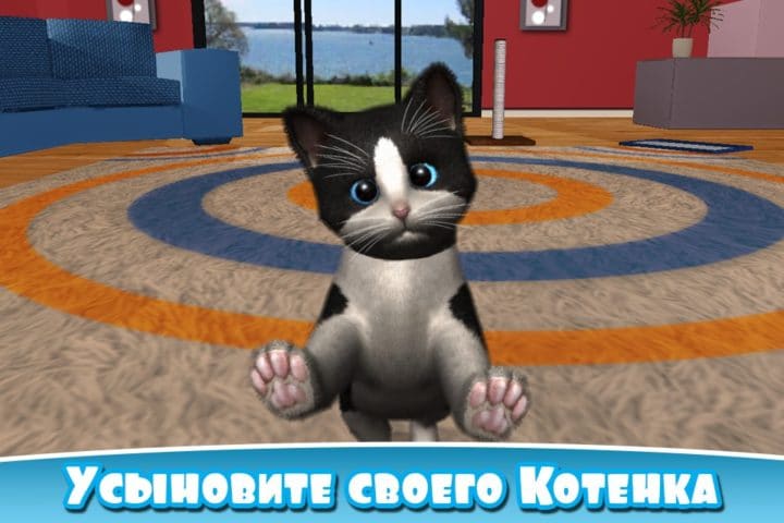 Daily Kitten لنظام Android