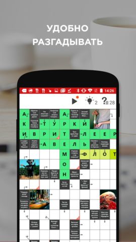 Android 版 Crosswords – New Everyday
