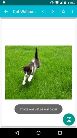 Cat Wallpapers! untuk Android