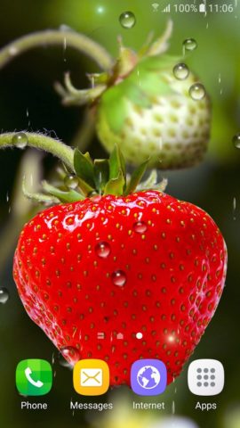 Berries Live Wallpaper per Android