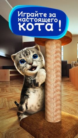Симулятор кошки онлайн для iOS