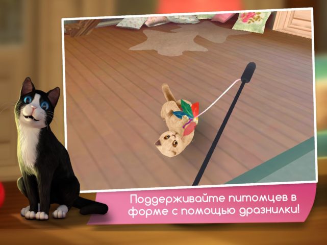 Cat Hotel لنظام iOS