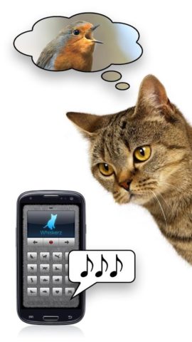 Human-to-Cat untuk Android