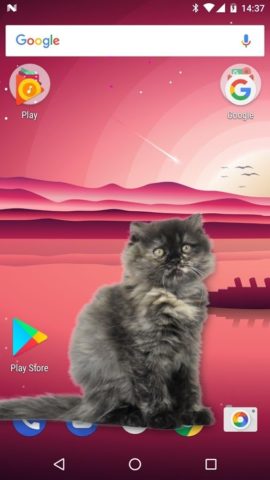 Гуляющий кот в телефоне для Android