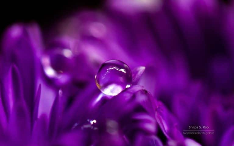 Liquid Jewels by Shilpa S Rao per Windows