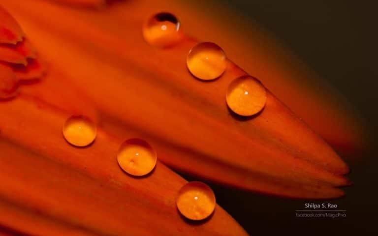 Liquid Jewels by Shilpa S Rao cho Windows