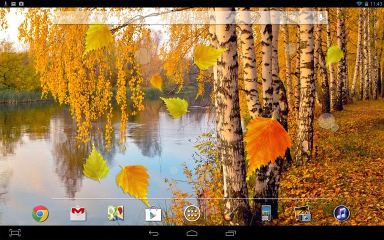 Autumn Wallpaper for Android