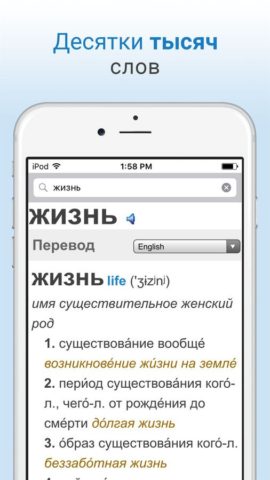 Словарь для iOS