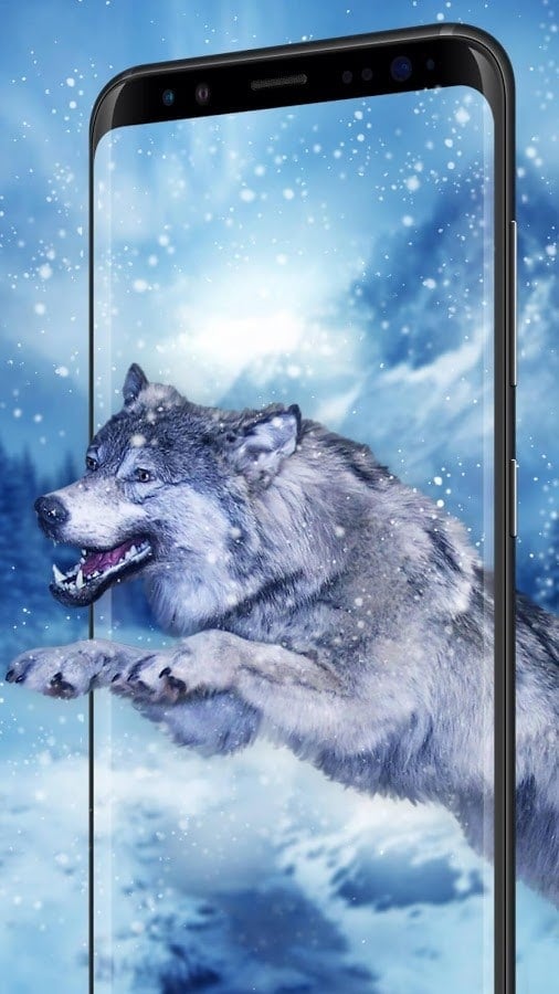 Волки Фото Картинки Скачать Бесплатно