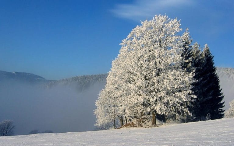 Czech Winter لنظام Windows