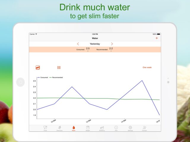 iOS용 Lose Weight – Calorie Counter