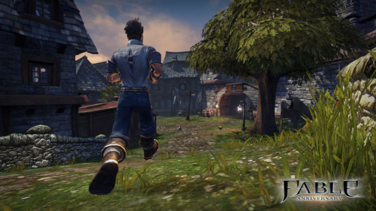 Fable Anniversary for Windows