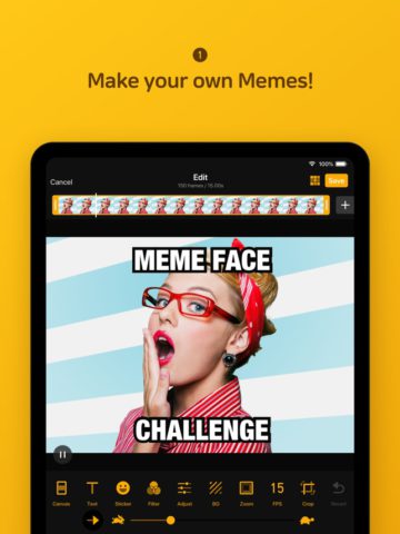 ImgPlay: GIF Maker & Meme for iOS