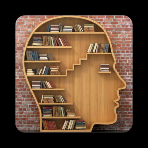 Genel Kültür Bilgi Yarışması для Android — скриншот 5