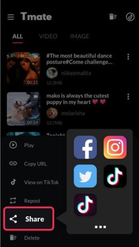 Android के लिए TikTok Video Downloader