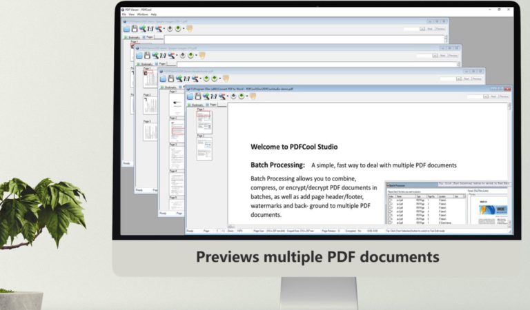 PDF to JPG Converter สำหรับ Windows