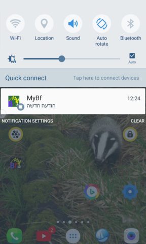 MyBf pentru Android