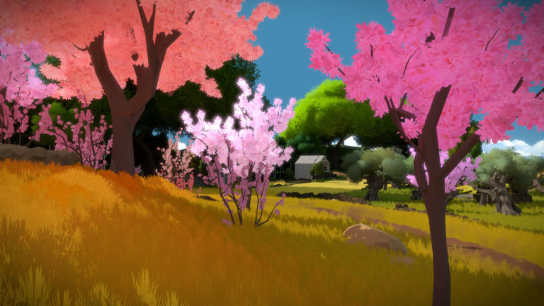 The Witness pour Windows