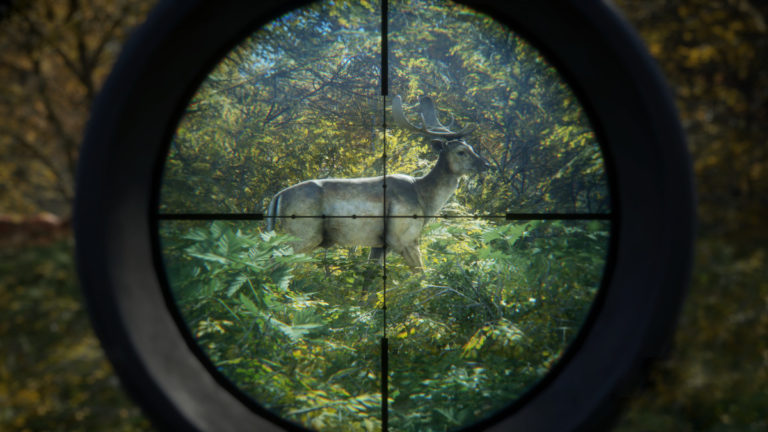 theHunter: Call of the Wild pour Windows