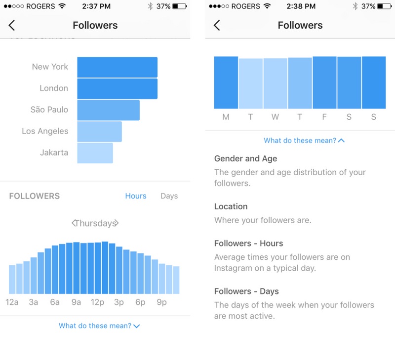 Analytics on Instagram: how to view and what data can be found