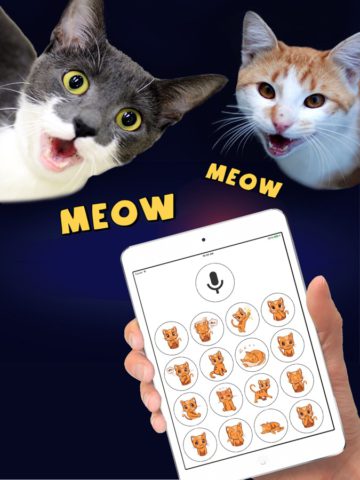 iOS용 고양이 번역기