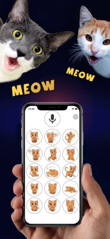 iOS için Kedi Tercüman
