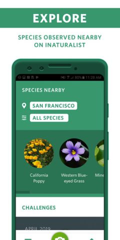 Seek фирмы iNaturalist для Android