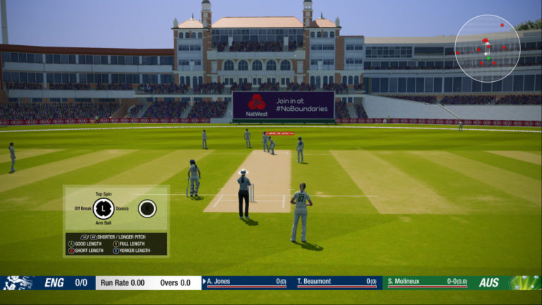 Cricket 19 untuk Windows