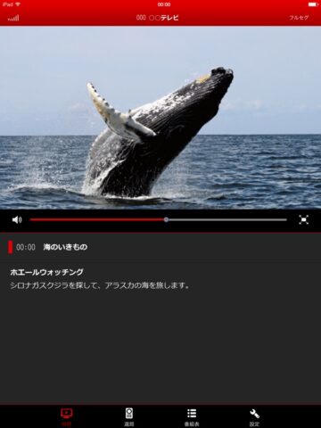 iOS용 テレビ視聴