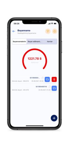 Smart Customs для iOS — скриншот 3
