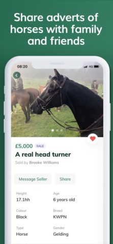 iOS 用 Whickr Buying & Selling Horses