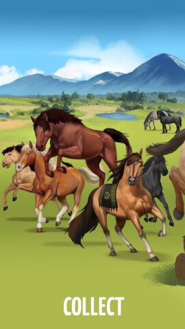 Howrse — Jogo de Criar Cavalos para Android