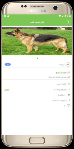Egy Pets para Android