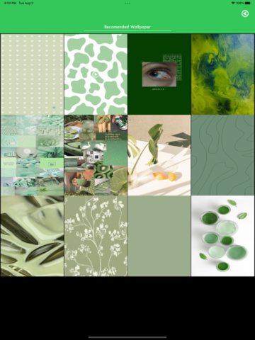 iOS 版 Sage Green Aesthetic Wallpaper