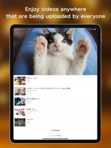 iOS 用 FC2動画