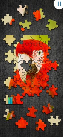 Puzzle Jigty per iOS