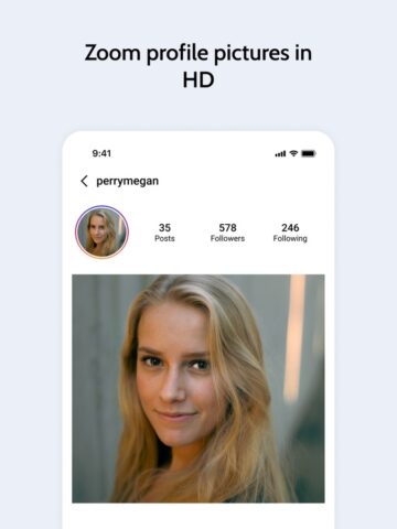 iOS 用 Postegro – Profile Viewer