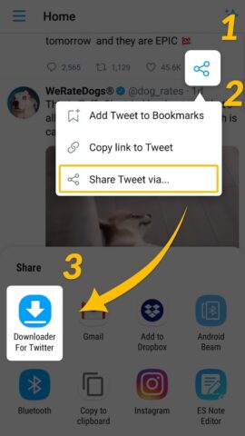 Android 版 Twitter 影片下載工具 – 快速下載推特影片和動圖