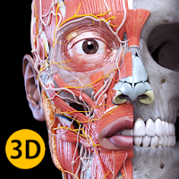Android 用 解剖学 – 3Dアトラス