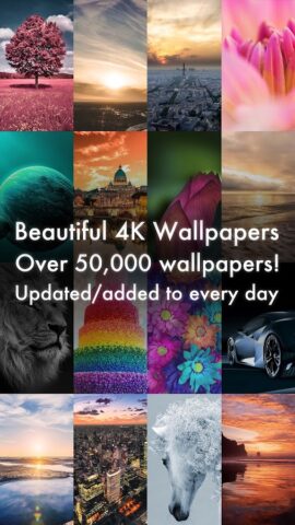 Beautiful 4K/HDR Wallpapers за Android