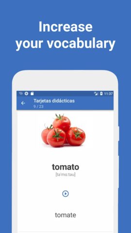 Words – Corsi di lingue per Android