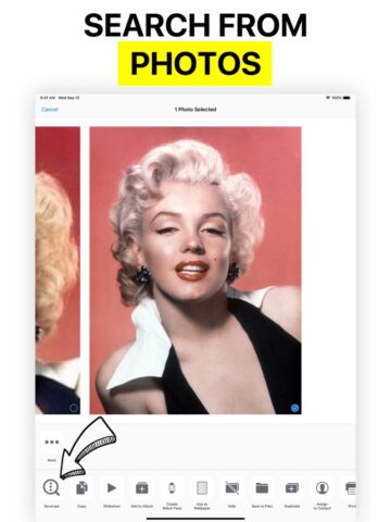 Reversee: Reverse Image Search สำหรับ iOS